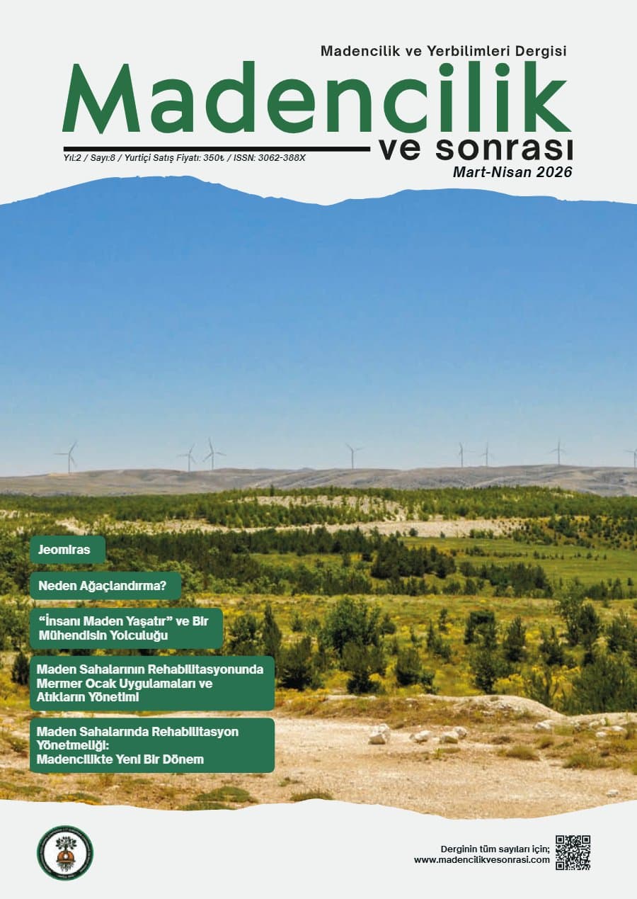 MvS 0208 kapağı