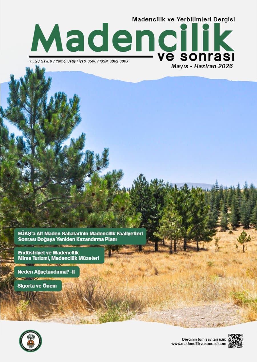 MvS 0209 kapağı