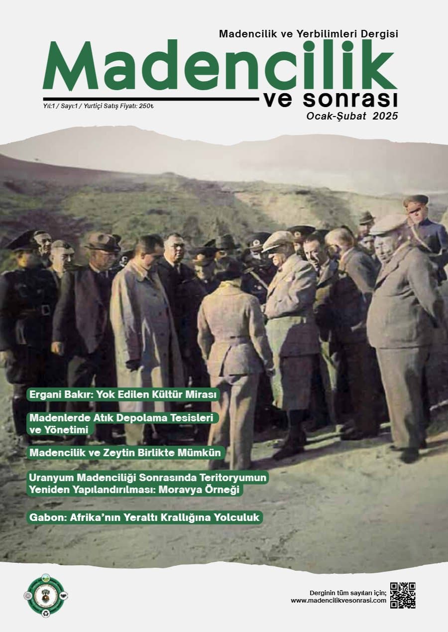 MvS 0101 kapağı