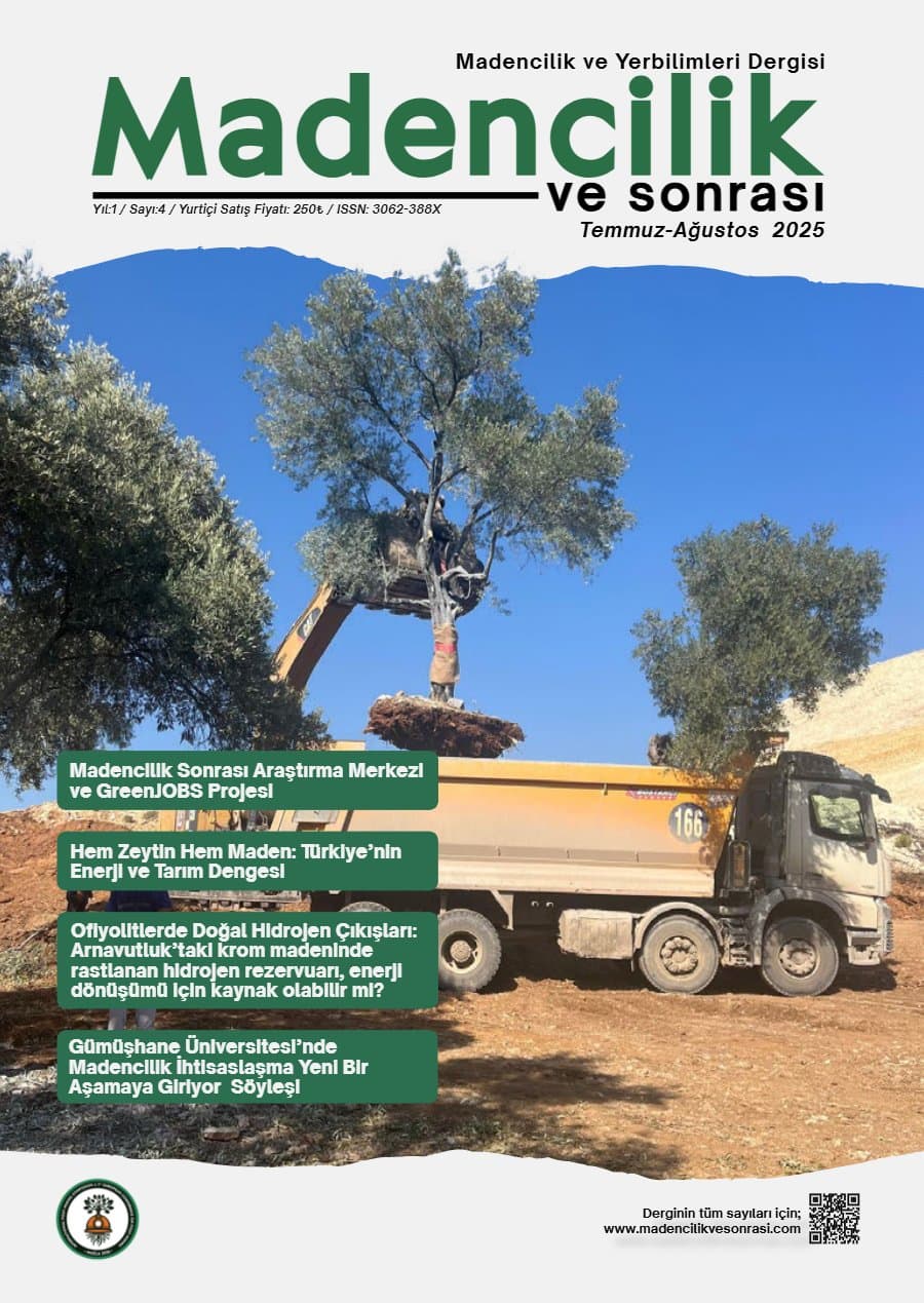 MvS 0104 kapağı